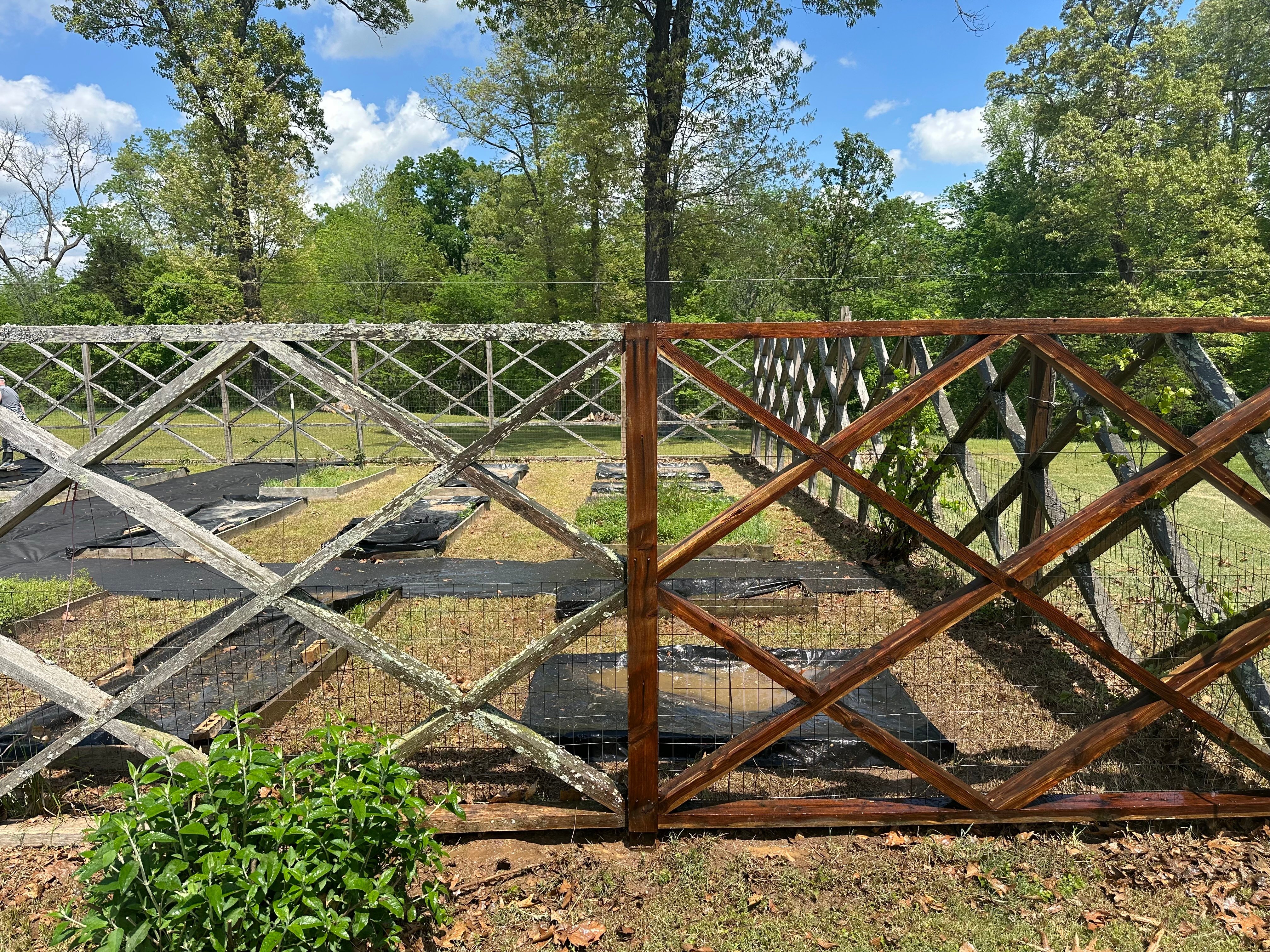 Fence 2